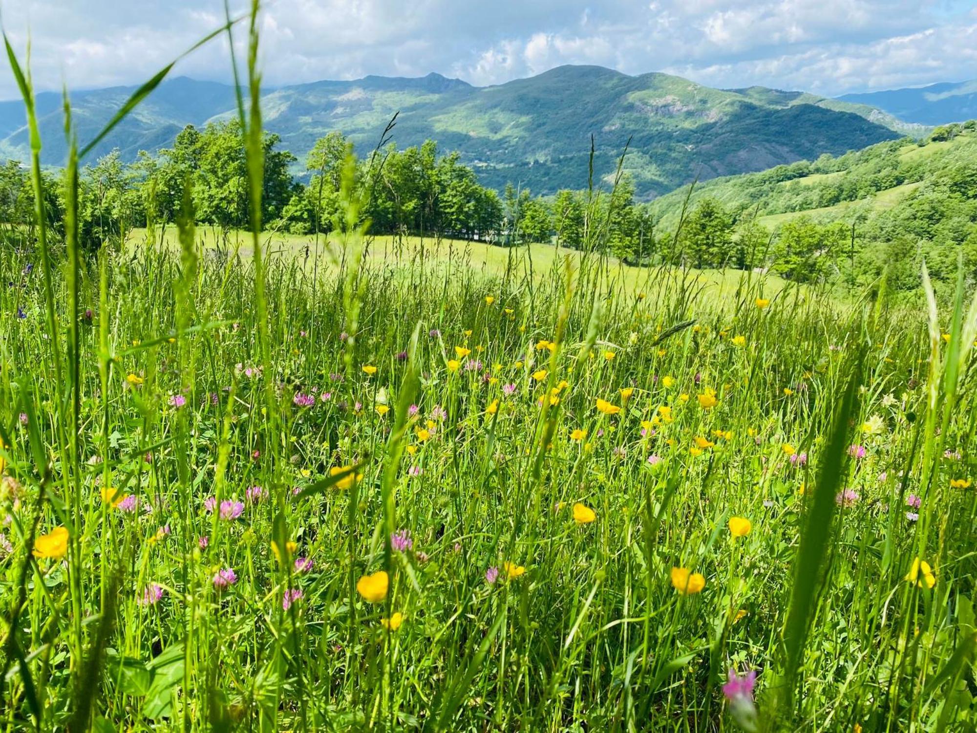 La Lupa E L'Orso Bed and Breakfast Berceto Buitenkant foto