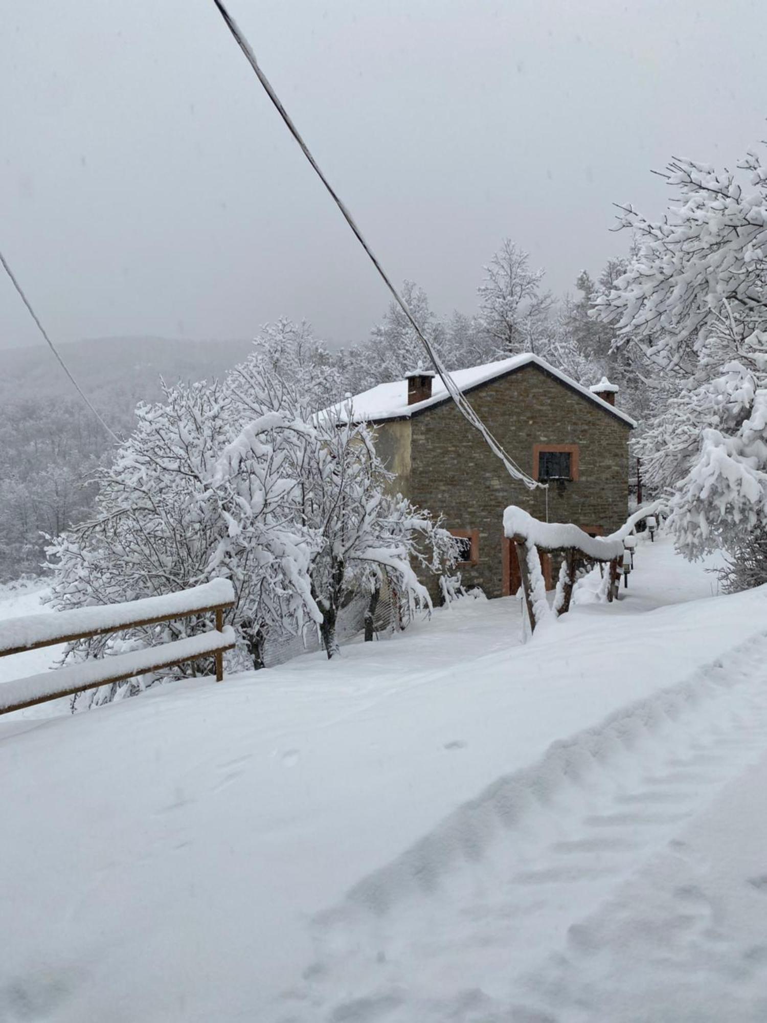 La Lupa E L'Orso Bed and Breakfast Berceto Buitenkant foto