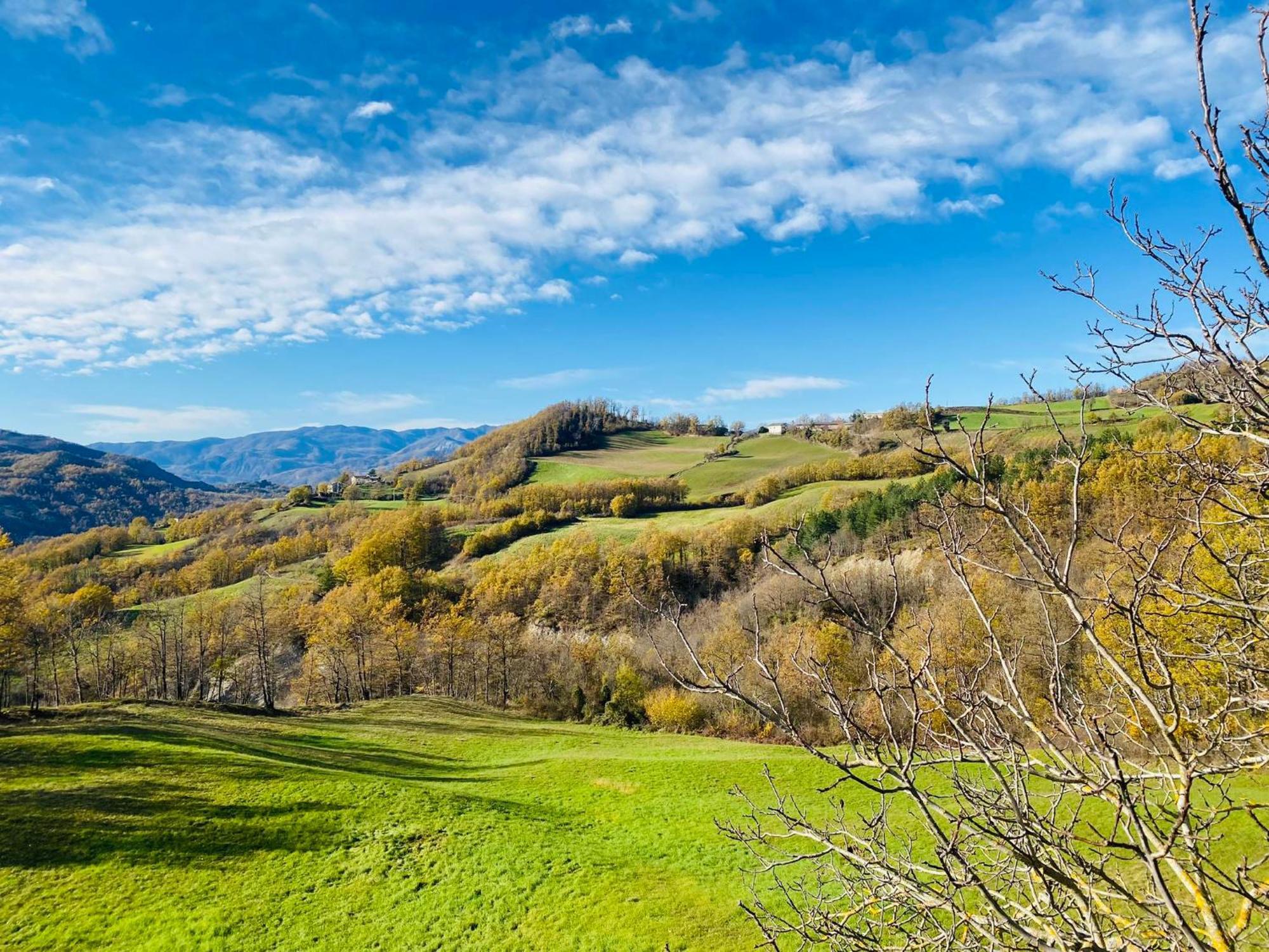 La Lupa E L'Orso Bed and Breakfast Berceto Buitenkant foto