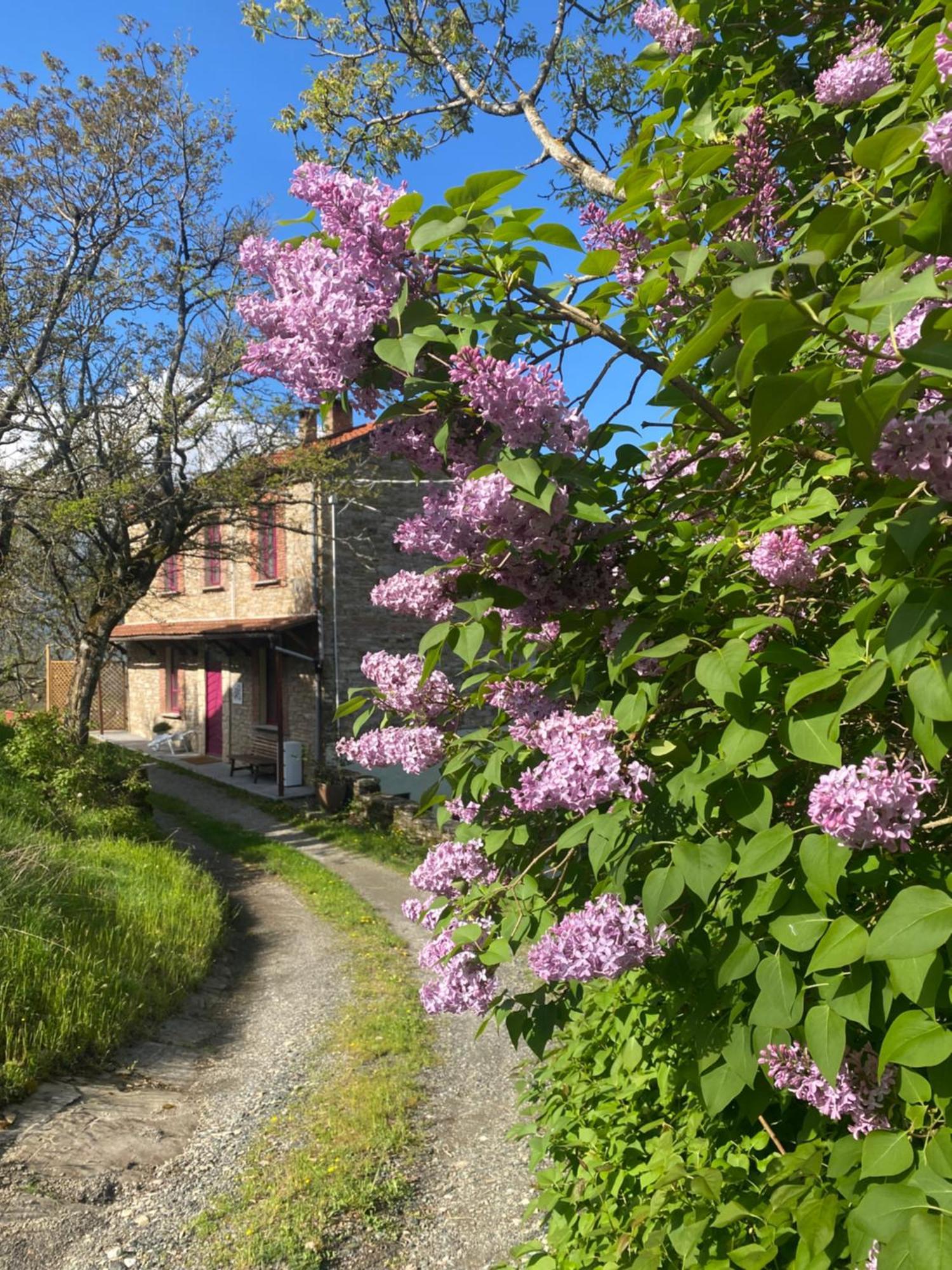 La Lupa E L'Orso Bed and Breakfast Berceto Buitenkant foto